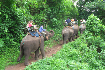 Passeggiata su elefanti