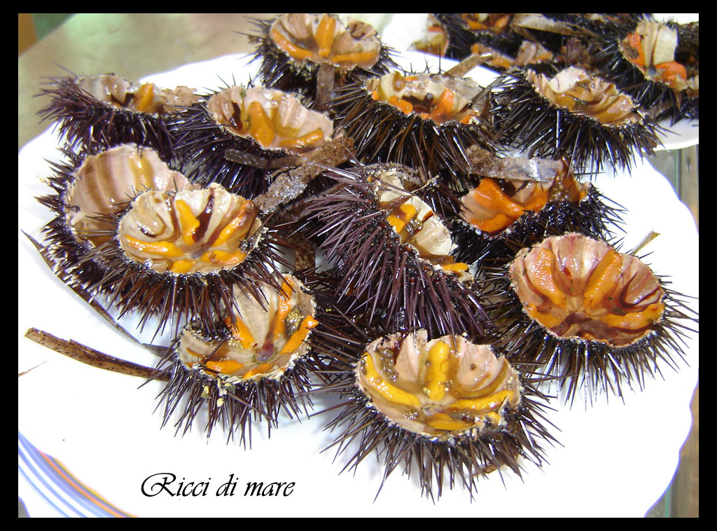 Solo chi li conosce pu� descrivere la bont�