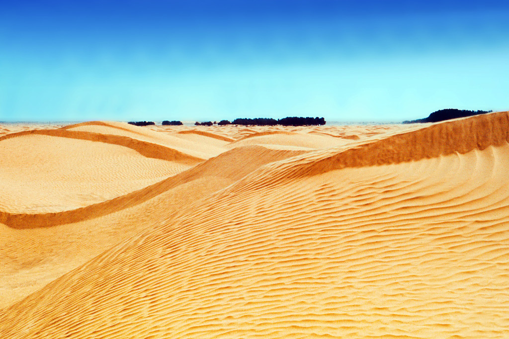 The sound of silence