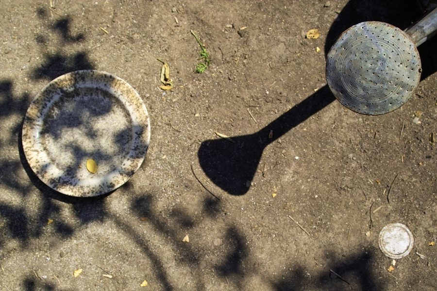 Still-Life in Fattoria