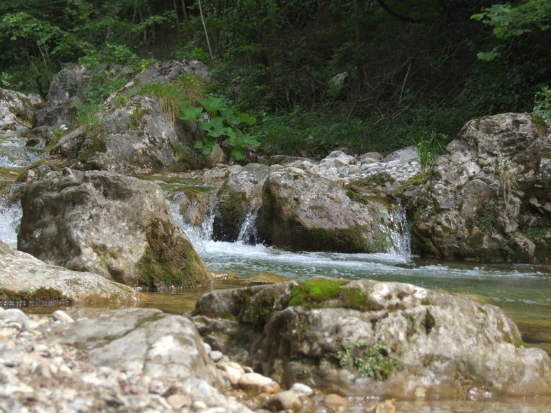 valle d'inzino