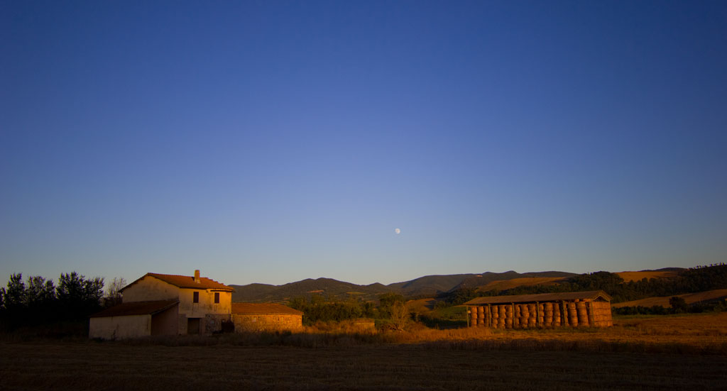 L'oro della sera....