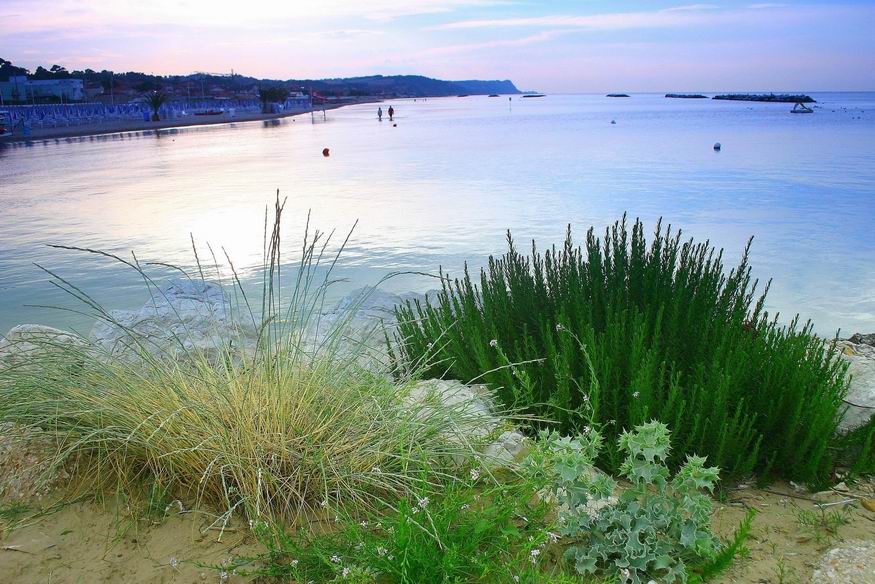 Walking in the sea 2