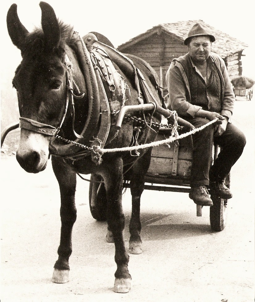 due personaggi difficili da trovare