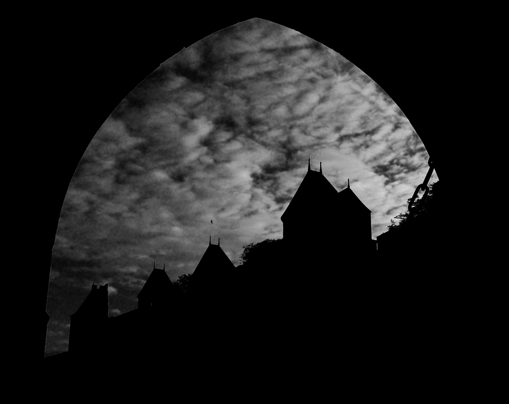 Carcassonne - Fortezza