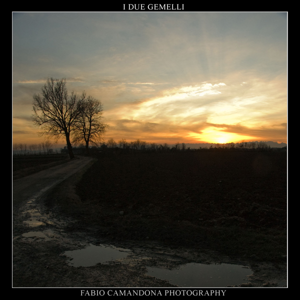 i due gemelli