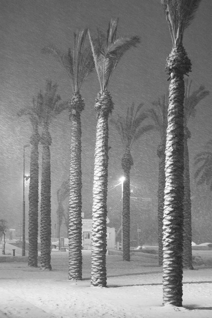 Neve a Gerusalemme