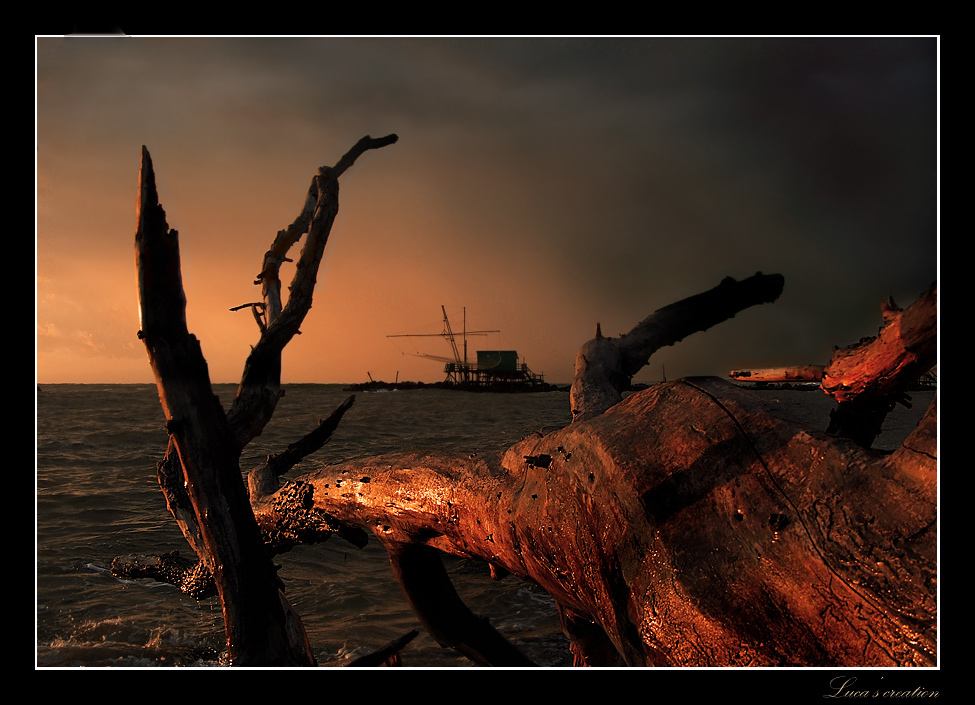 tentacoli...di legno