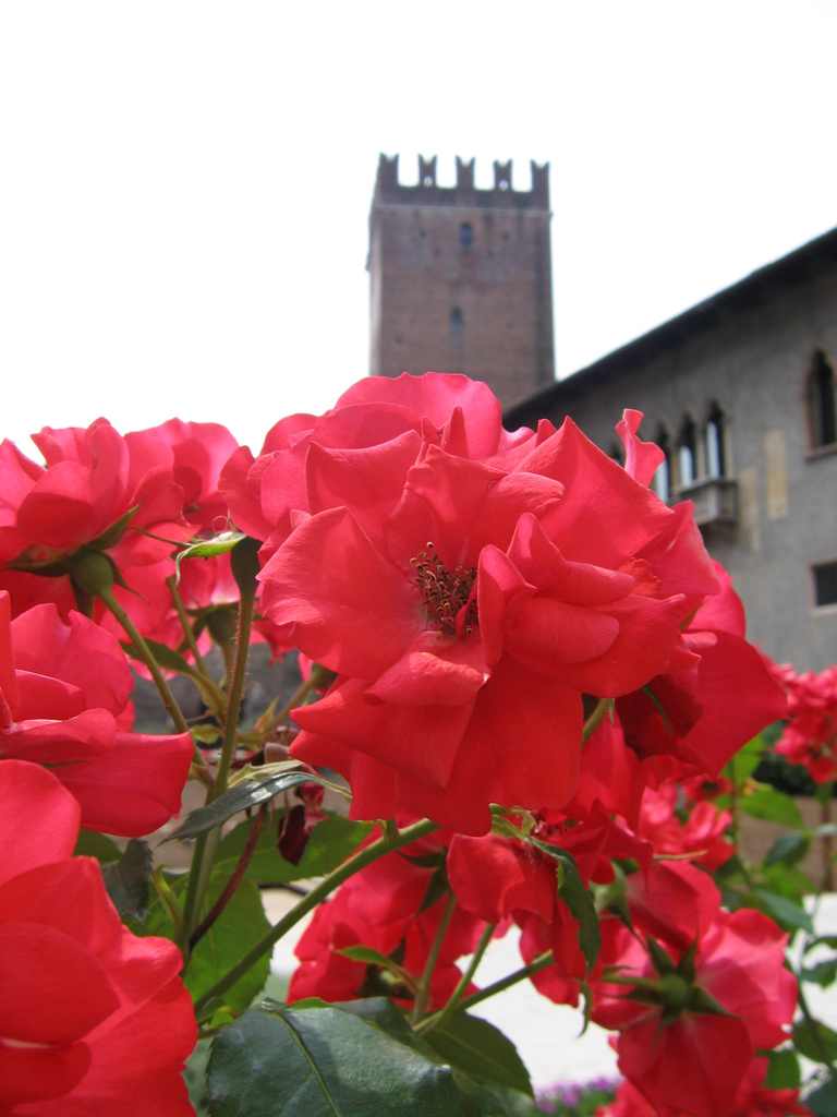 verona in fiore