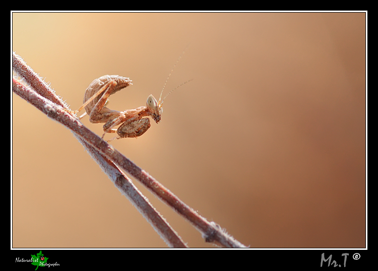 ...Verso L'oscurit�...