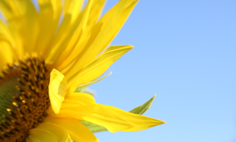 Mi sento diverso..da vicino