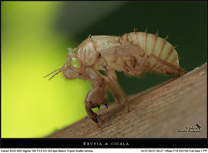 Vuoto... a perdere I