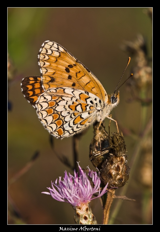 Assorta nei miei pensieri...