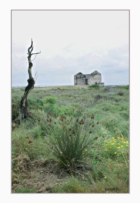 Una Giornata Grigia...