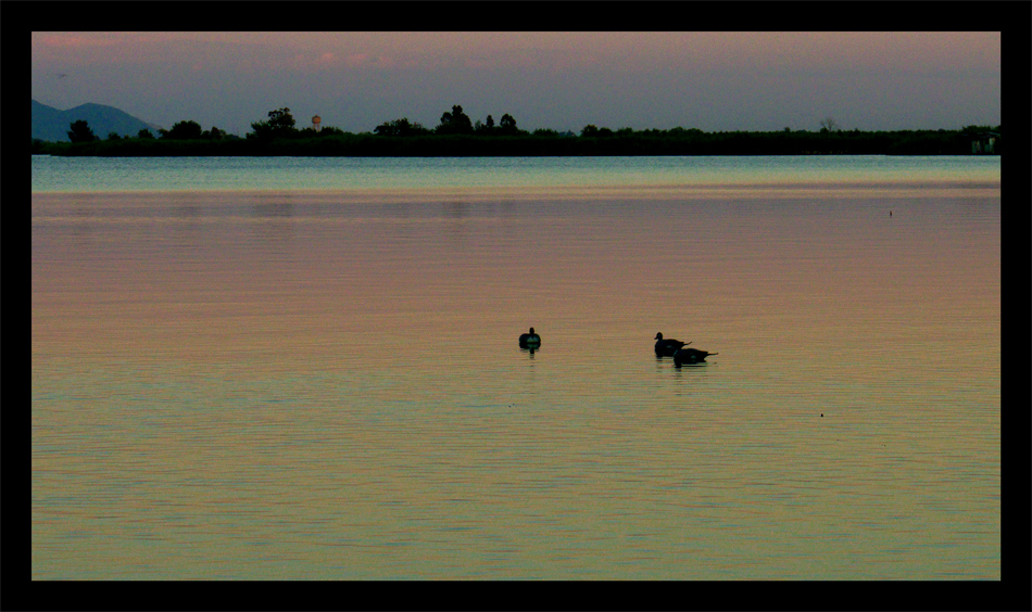 Sera sul Massaciuccoli