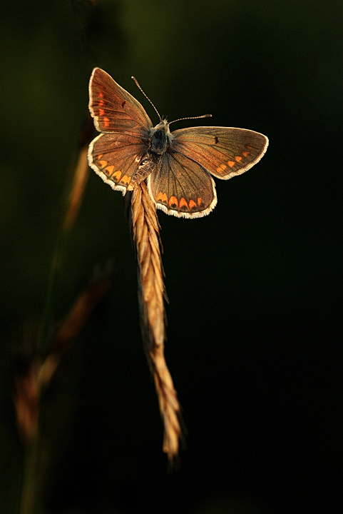 Uno spiraglio di luce