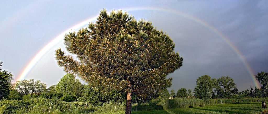 Arcobaleno [photo merge]