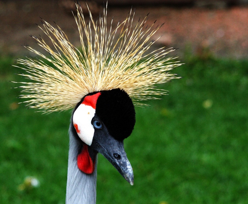 Dipinta dalla natura