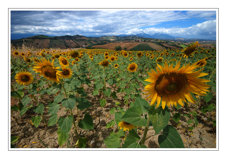 Inchinati al fotografo