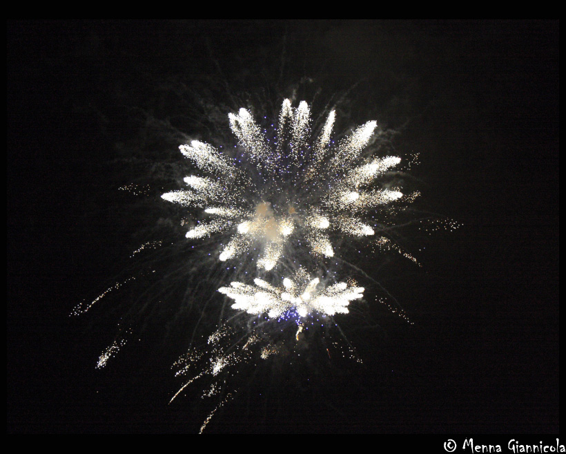 Un fiore introvabile