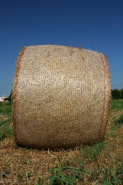 di fronte a certe balle...