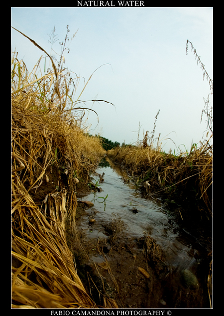 natural water
