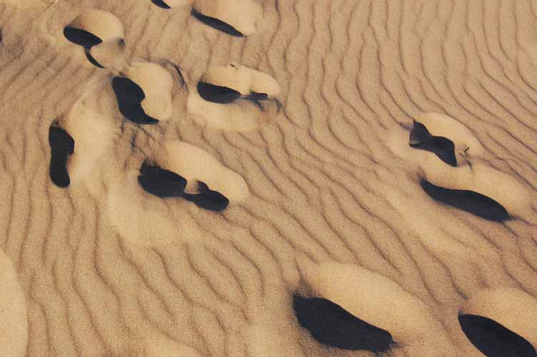 Footprint in the desert