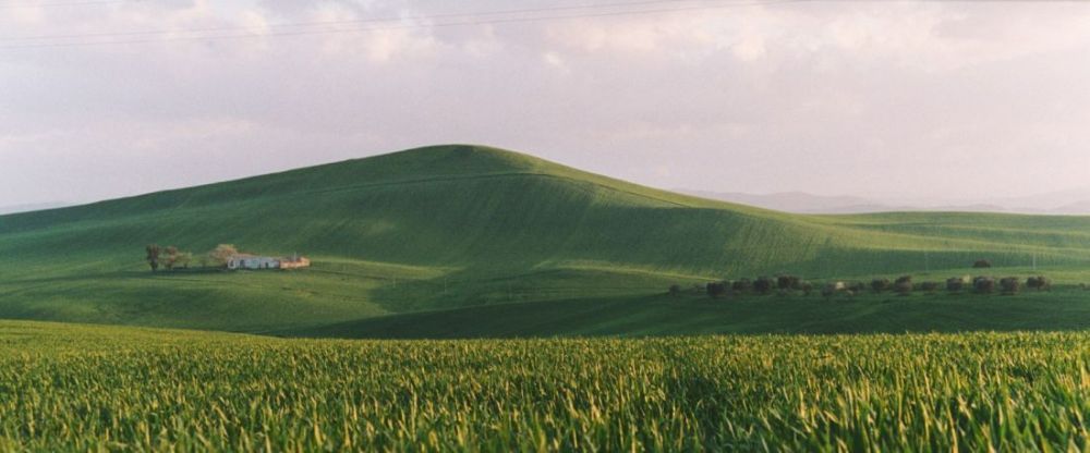the hills are alive with the green of spring