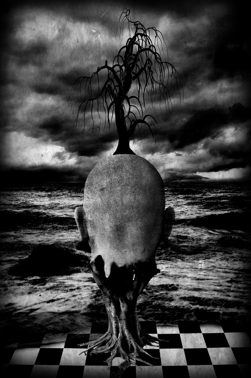 natura... uomo... natura