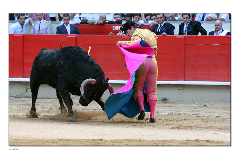 Torero...