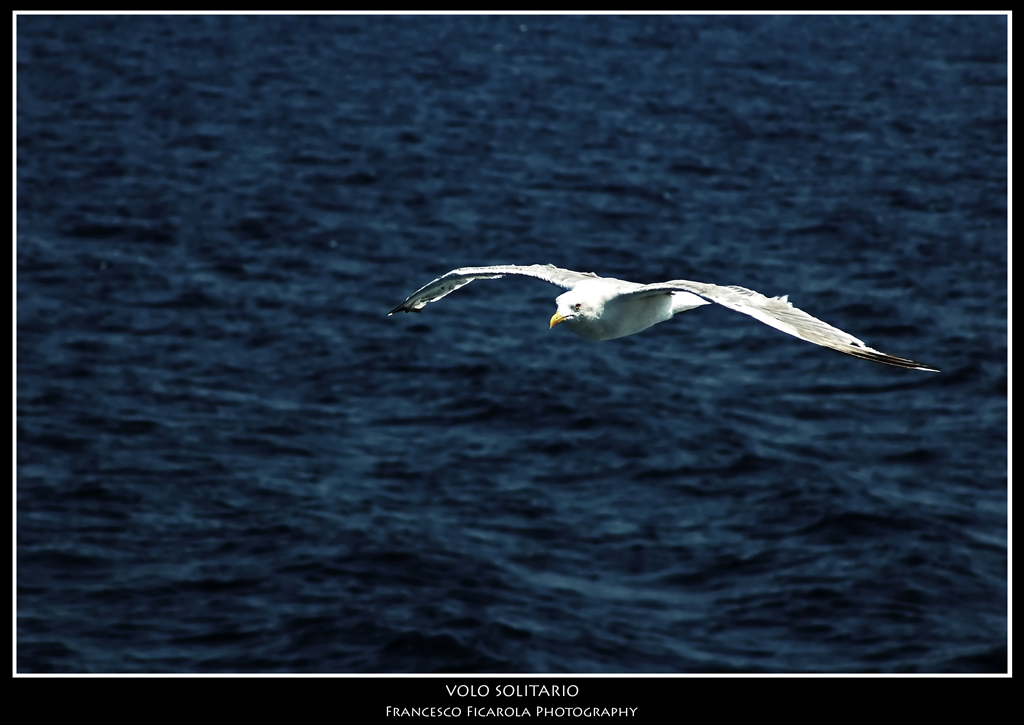 Volo Solitario