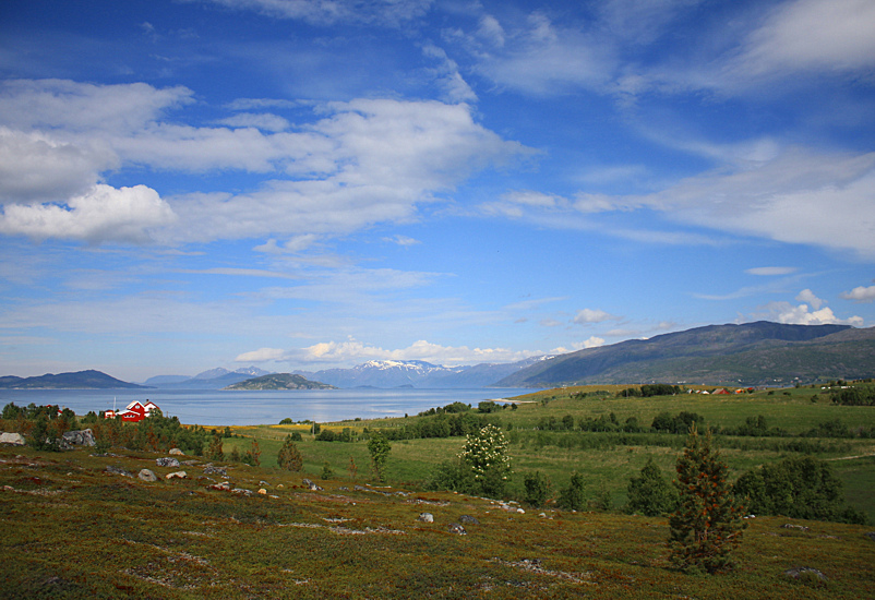 (QUASI) COME MAMMA L'HA FATTA.........
