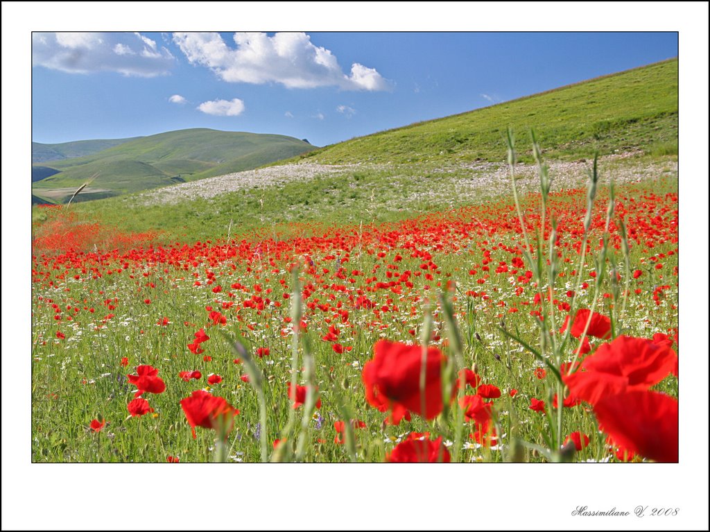 Piana di castelluccio