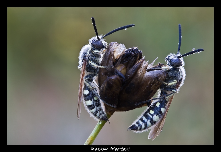 Una bilancia al naturale!