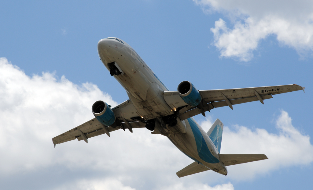 Nikkor 80-200 pompone