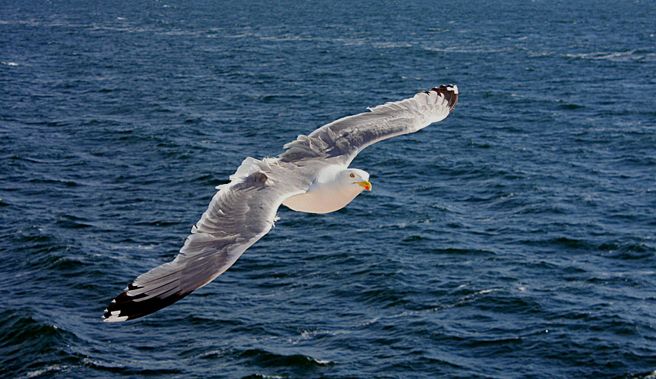 EHI,GUARDA QUANTO SONO BELLO!