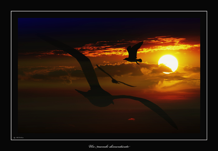 Un mondo dimenticato