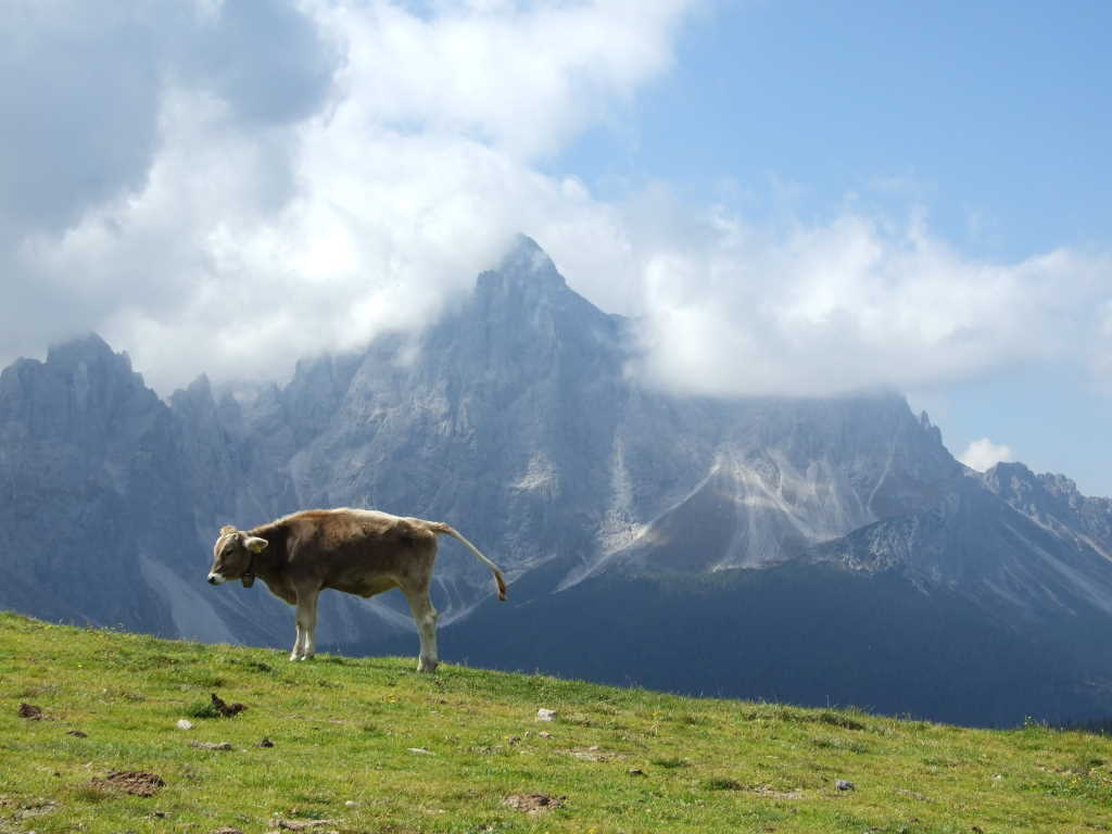 Qui non mi vede nessuno......