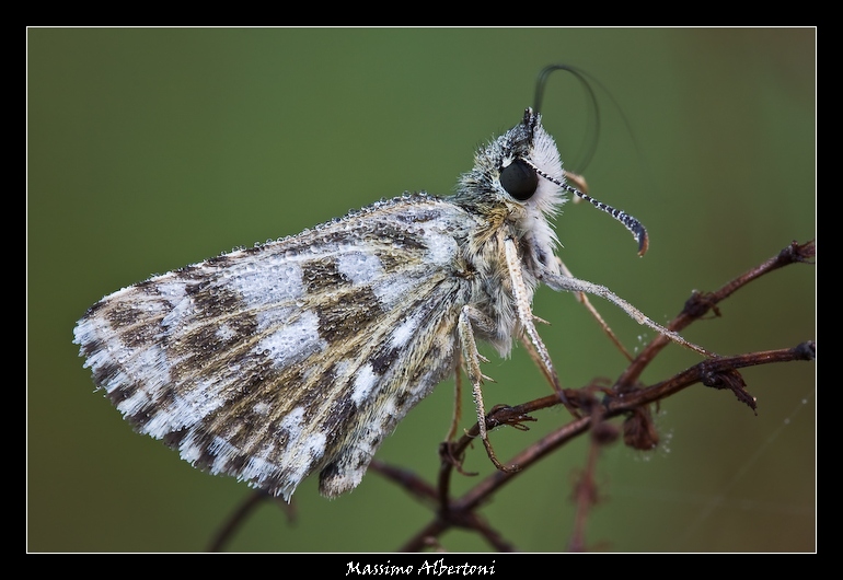 Riscaldamento di spirotromba!