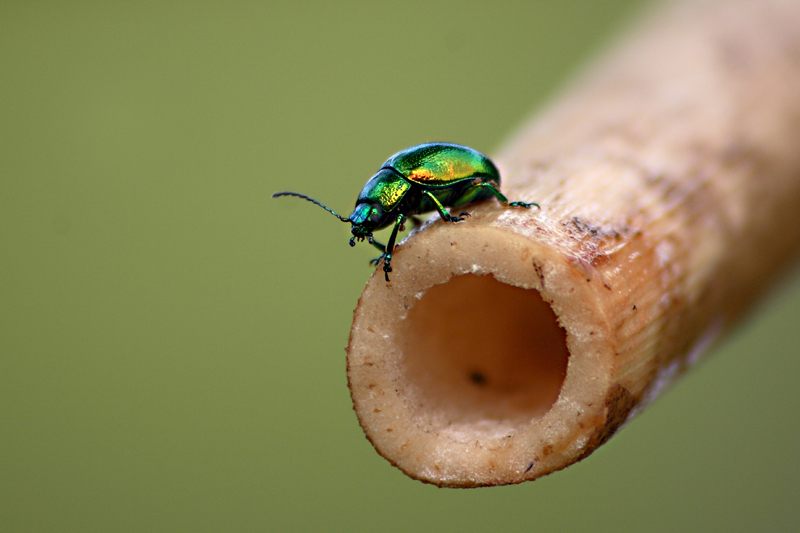 sono fuori dal tunnel...