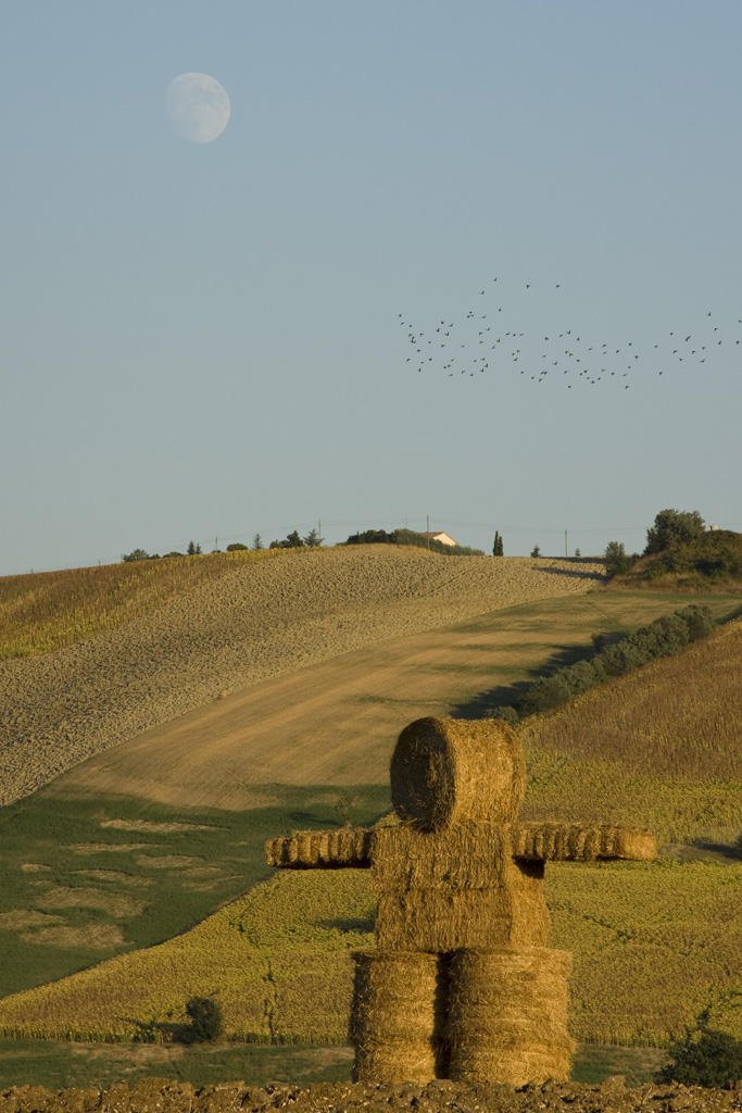 Il lavoro dell'uomo e la natura