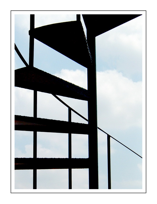 Corvo dormente in semigabbia