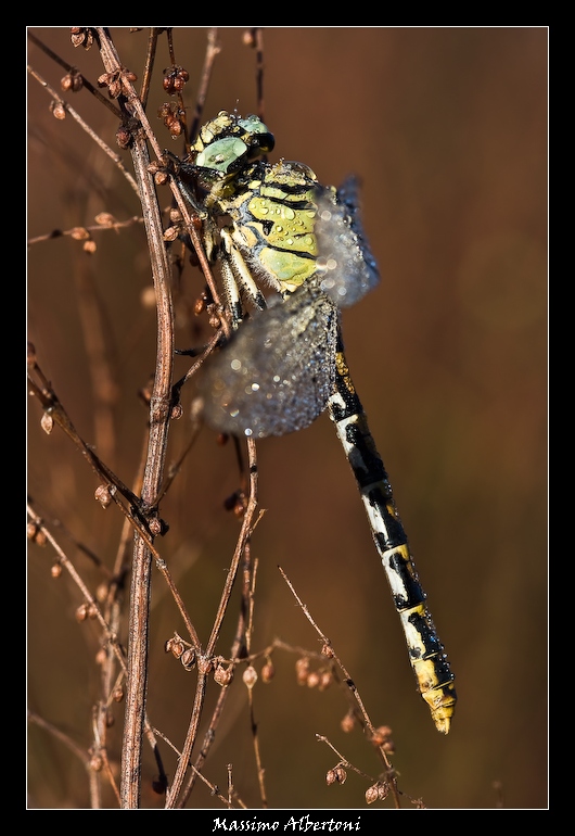 Che umidit�, stamattina!