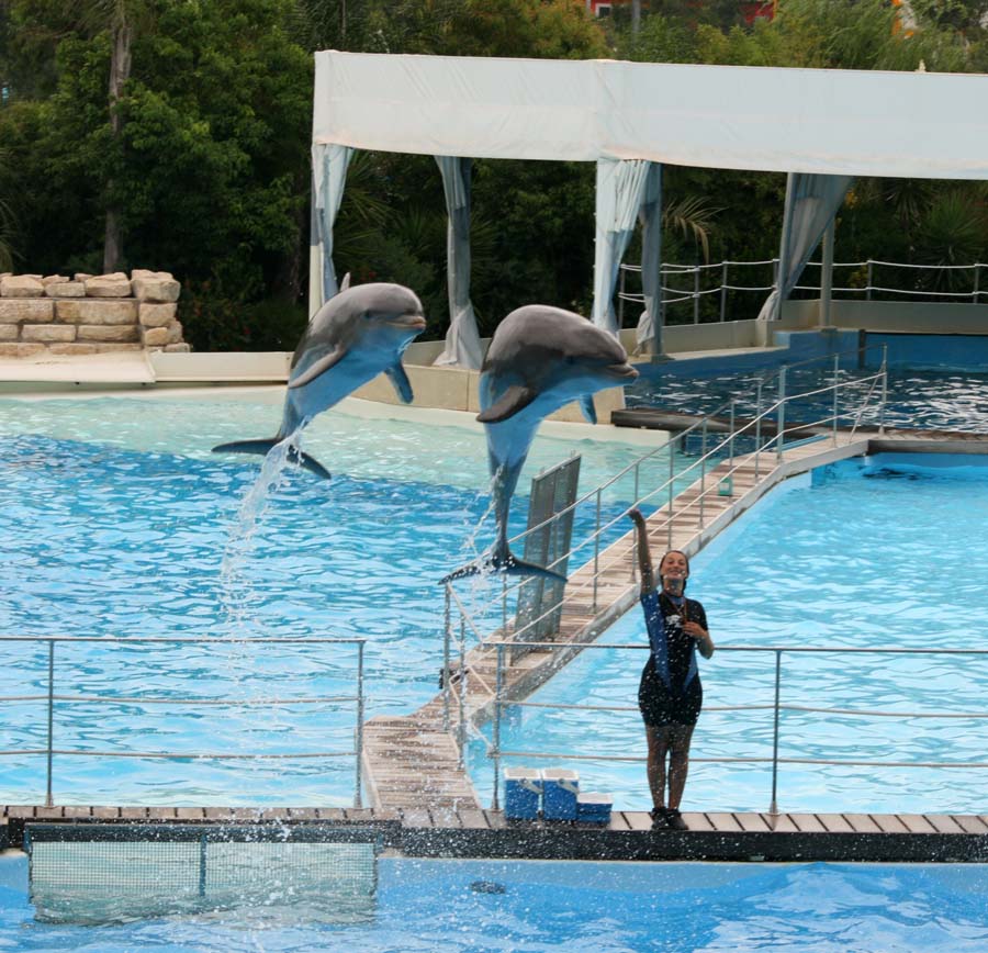 Delfini 2 Zoo Marine
