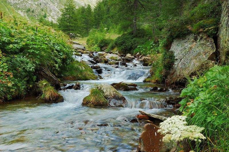 torrente di montagna