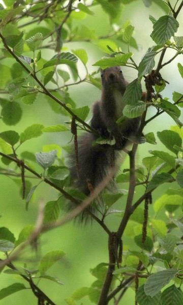 finisco il giretto, a presto.