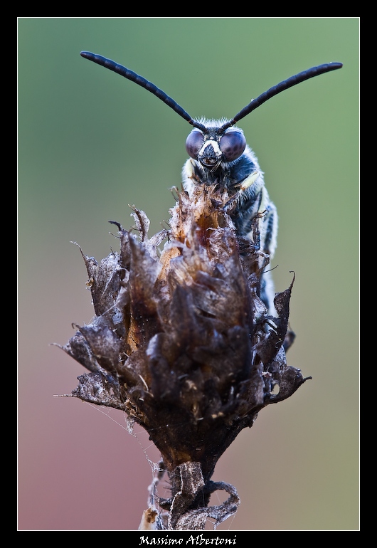 Mi hai fatto davvero ridere!