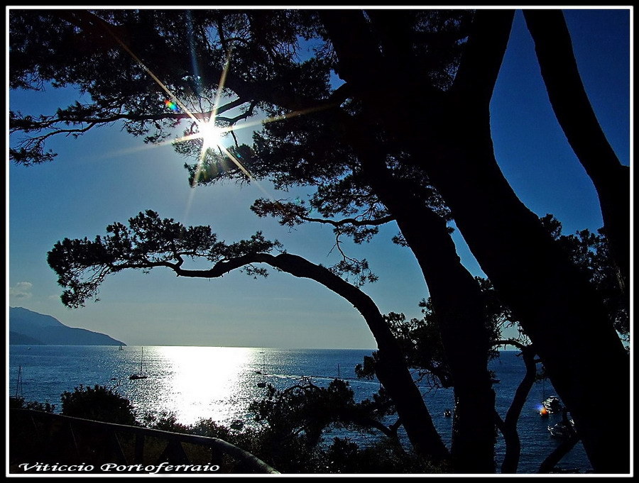 Contro il sole del tramonto.....