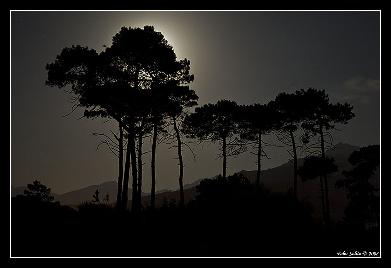 Dalla spiaggia di calv�