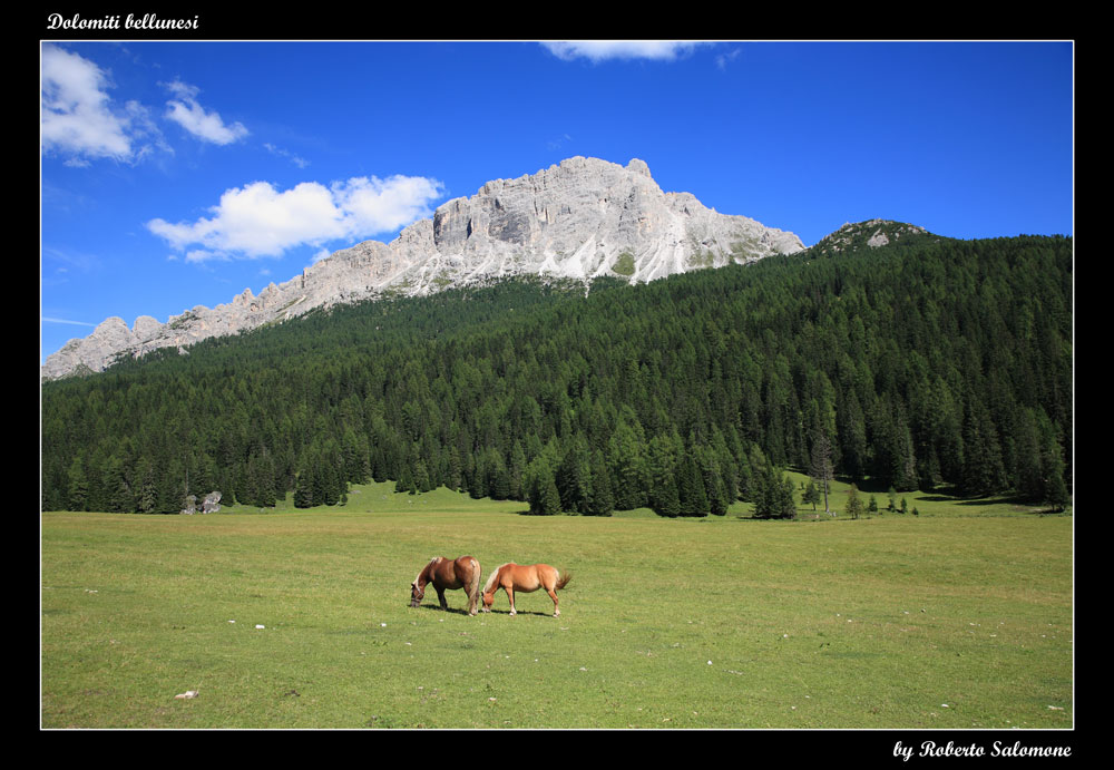 Dolomiti (presso Misurina)